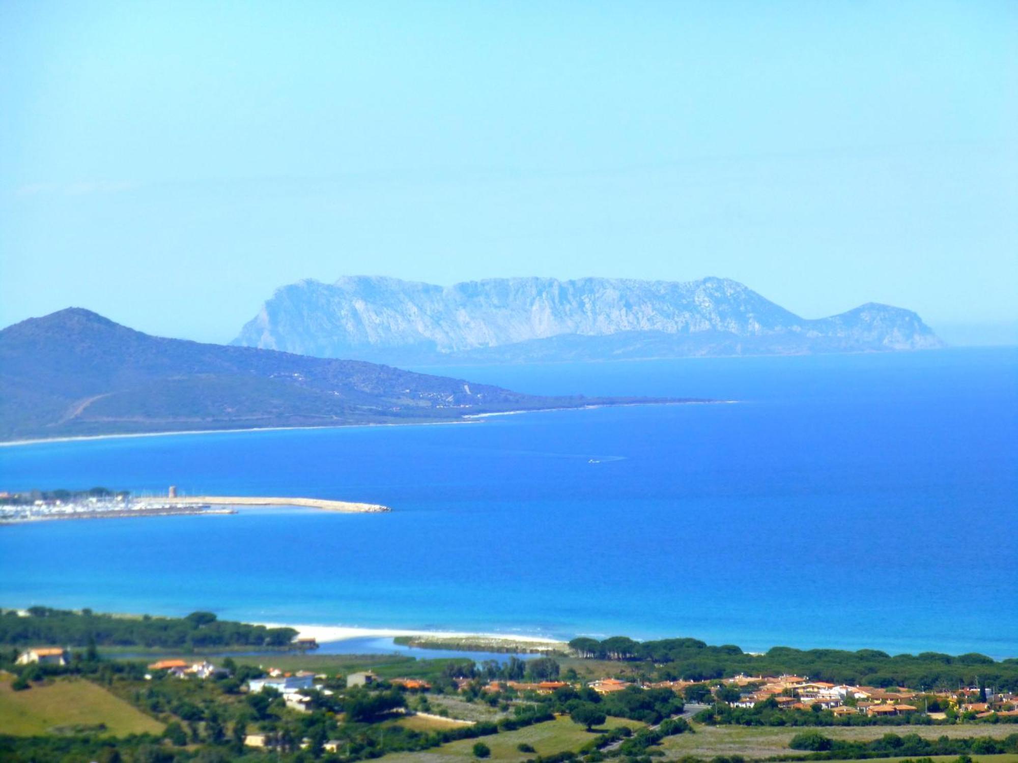 Comino Alto Agriturismo E Appartamenti Siniscola Zewnętrze zdjęcie
