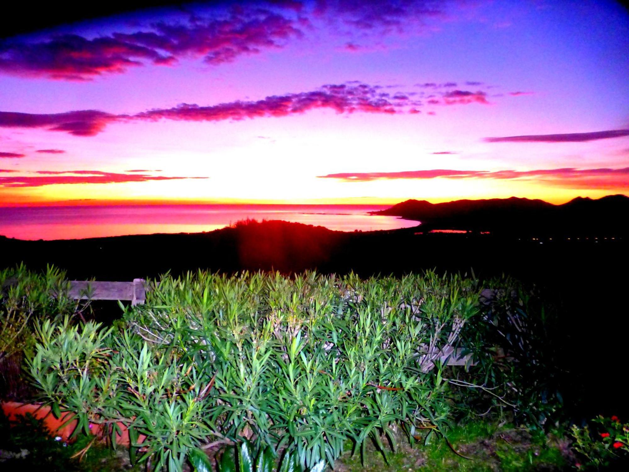 Comino Alto Agriturismo E Appartamenti Siniscola Zewnętrze zdjęcie