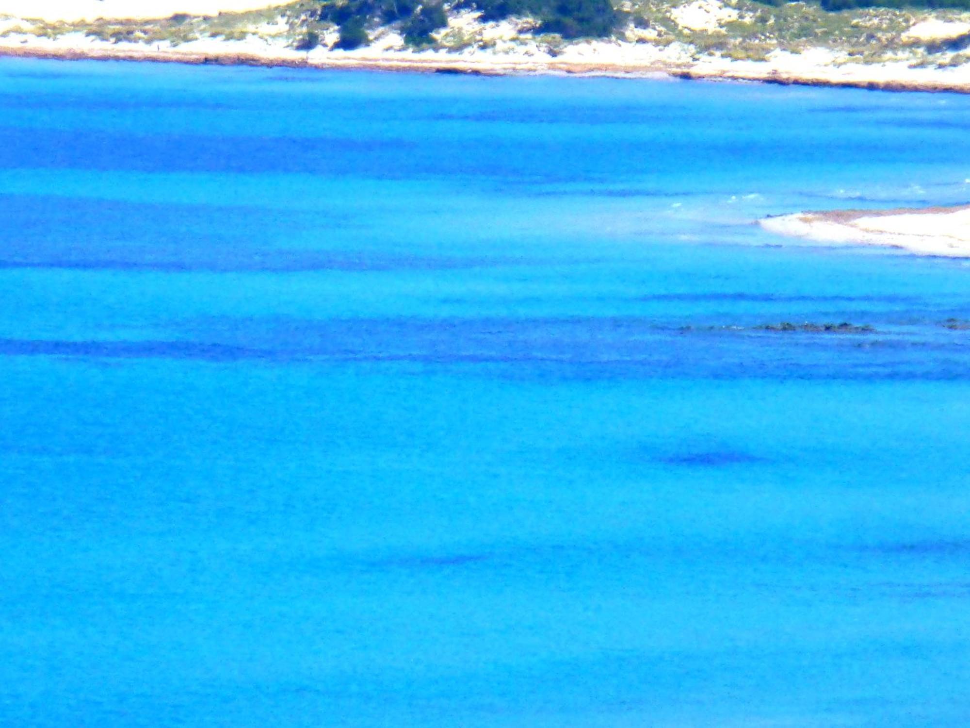 Comino Alto Agriturismo E Appartamenti Siniscola Zewnętrze zdjęcie