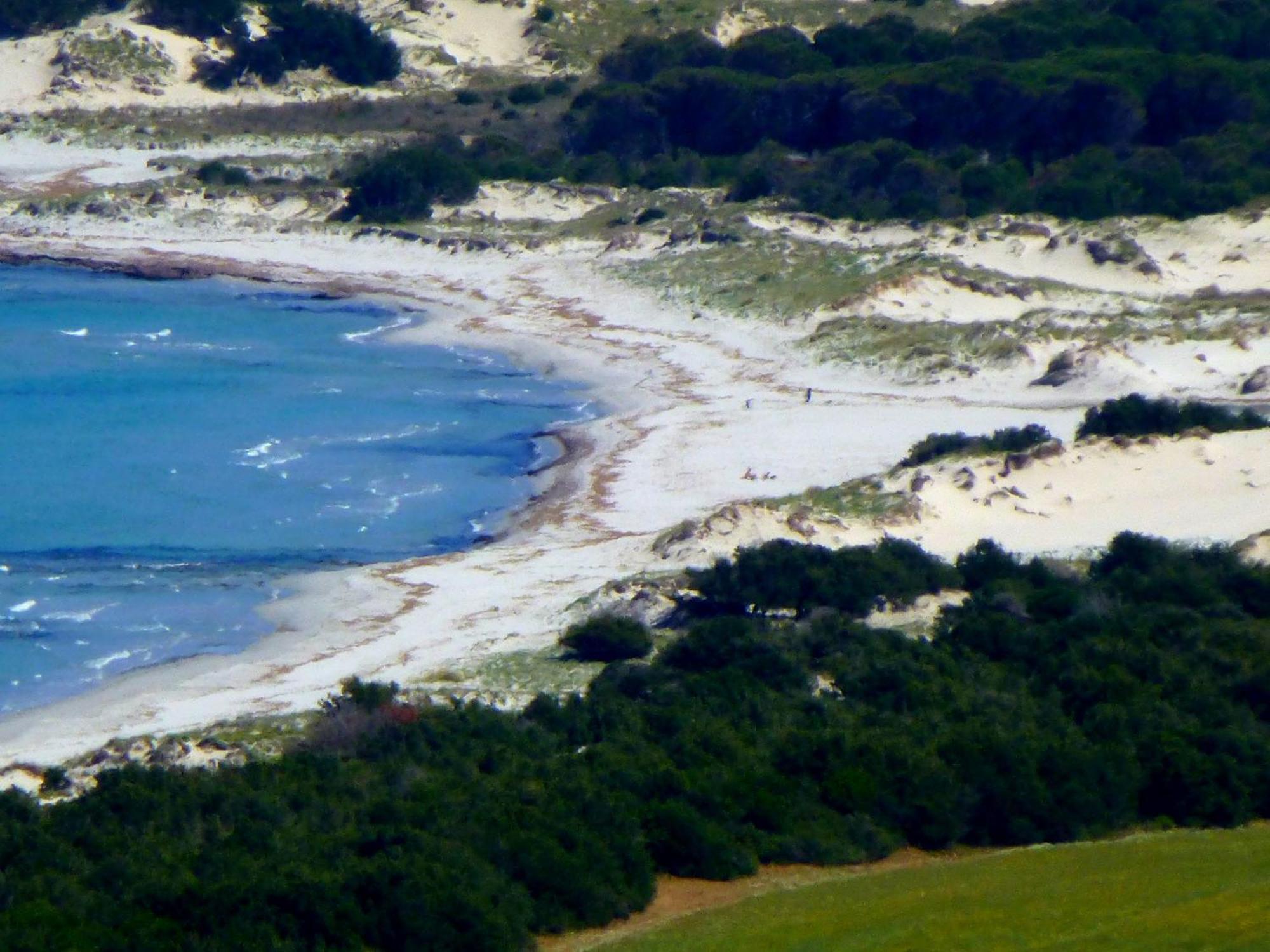 Comino Alto Agriturismo E Appartamenti Siniscola Zewnętrze zdjęcie