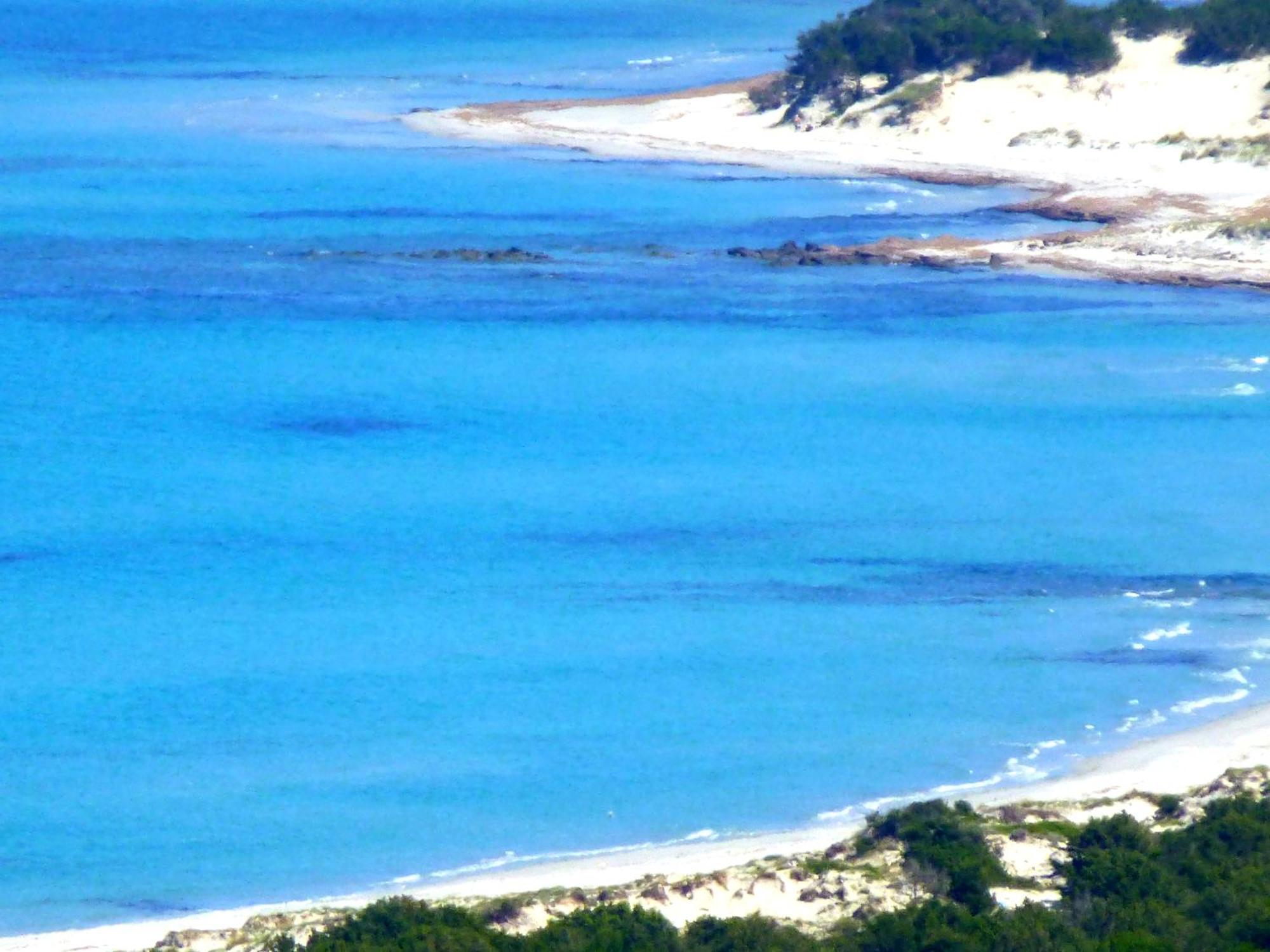 Comino Alto Agriturismo E Appartamenti Siniscola Zewnętrze zdjęcie