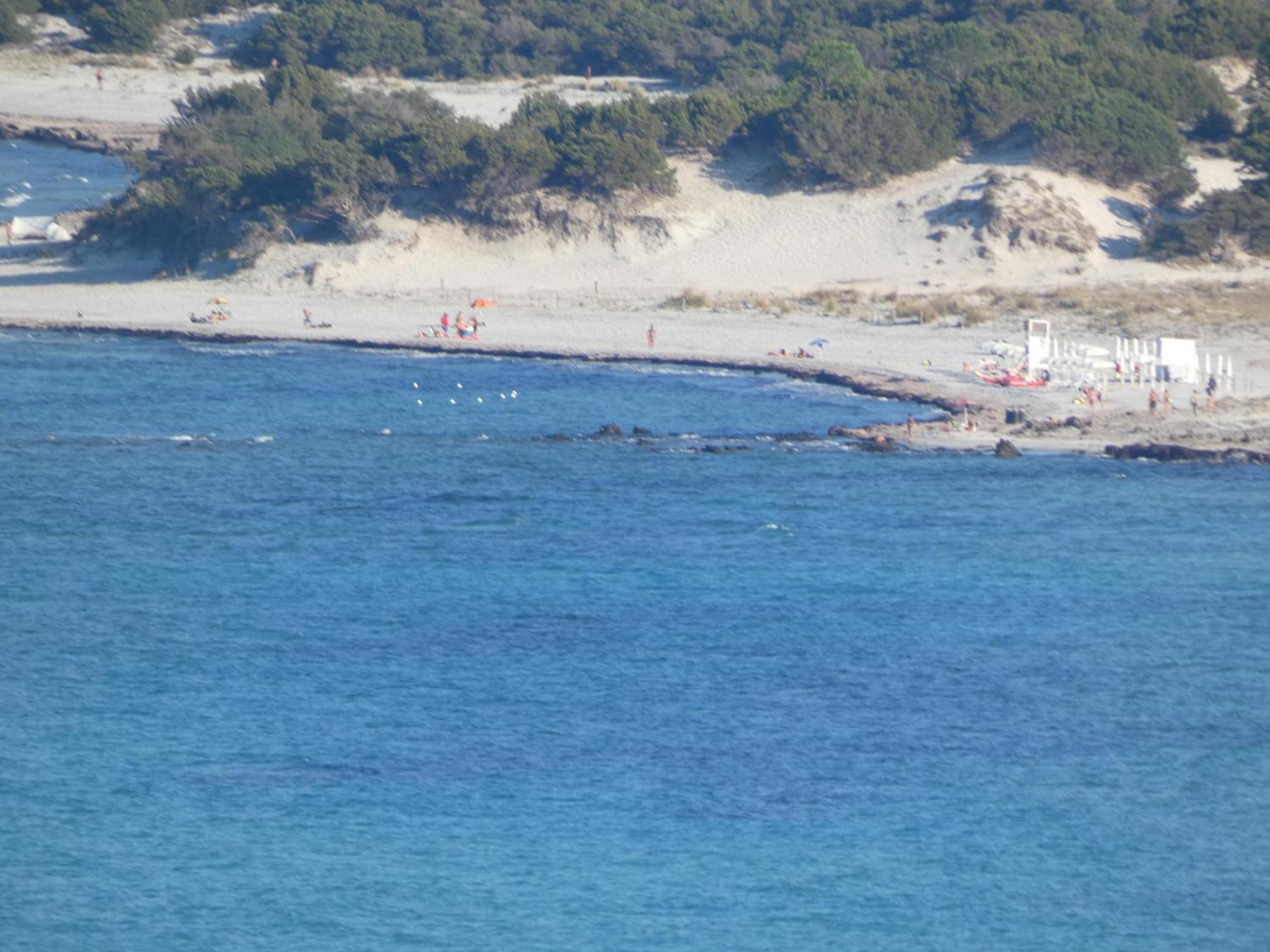 Comino Alto Agriturismo E Appartamenti Siniscola Zewnętrze zdjęcie