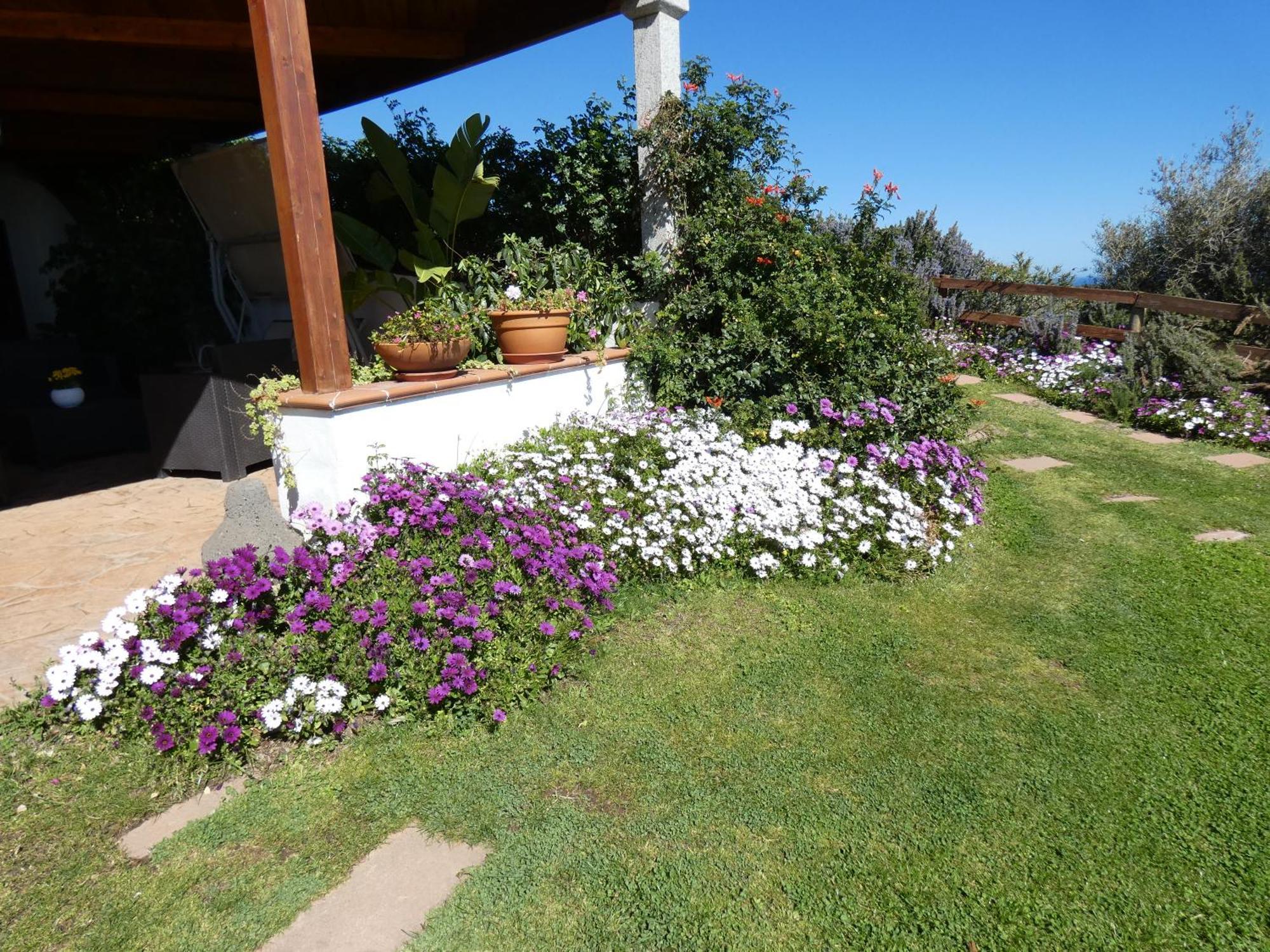 Comino Alto Agriturismo E Appartamenti Siniscola Zewnętrze zdjęcie