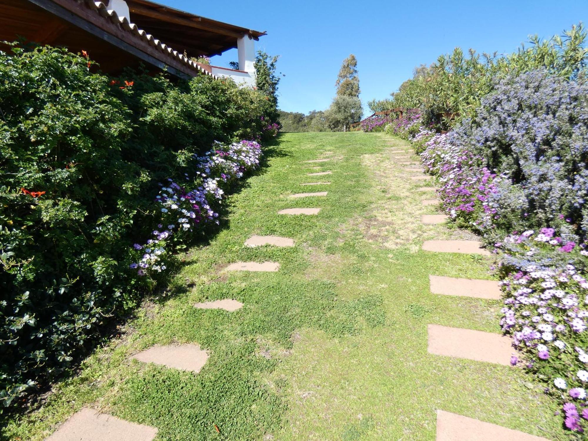 Comino Alto Agriturismo E Appartamenti Siniscola Zewnętrze zdjęcie