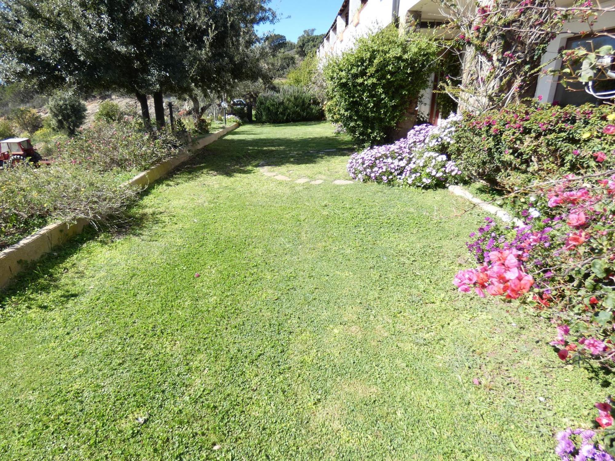 Comino Alto Agriturismo E Appartamenti Siniscola Zewnętrze zdjęcie